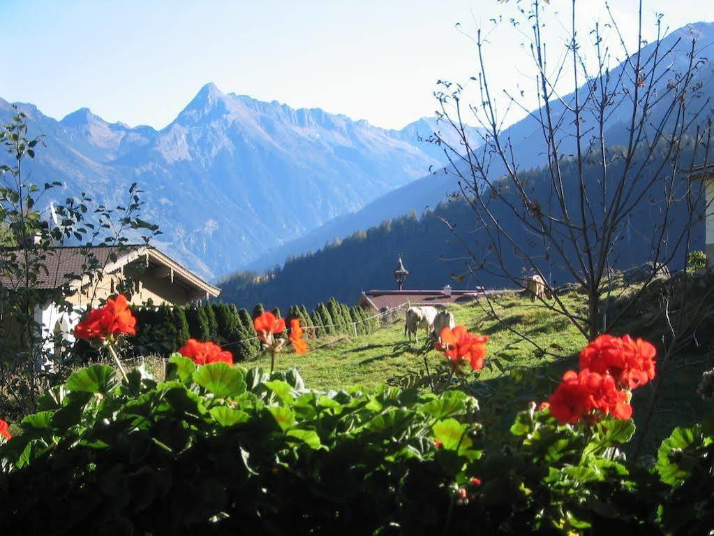 Pension Glockenstuhl Финкенберг Экстерьер фото